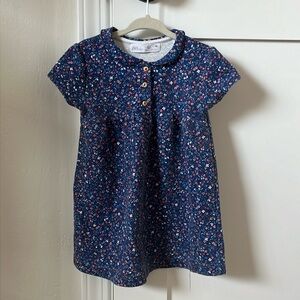 Zara Floral Blue Peter Pan Collar Dress Size 2-3